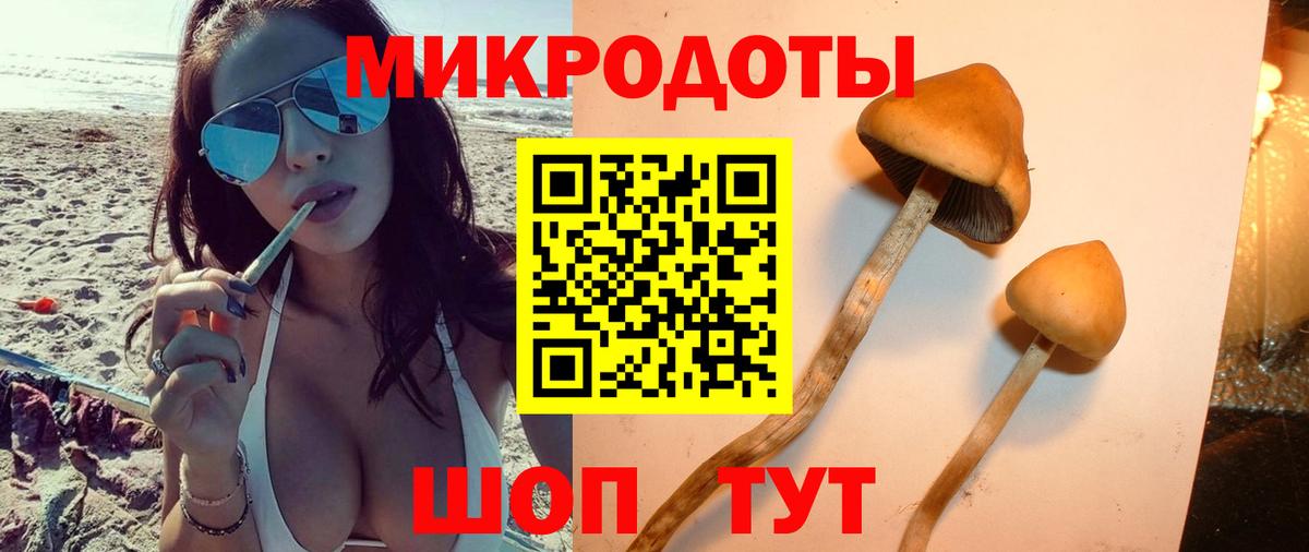 Галлюциногенные грибы мицелий  Псилоцибиновые грибы Psilocybine cubensis  Вход с VPN  Янаул 