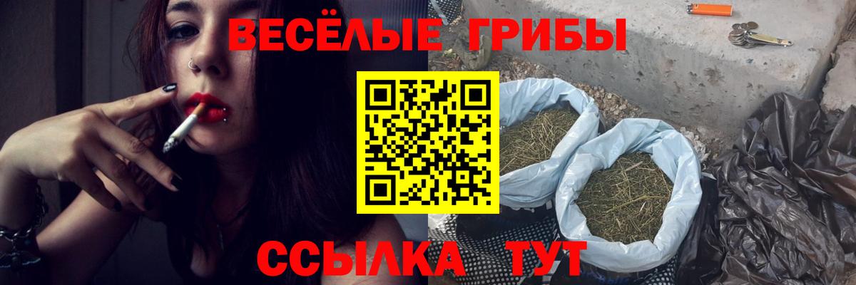 Псилоцибиновые грибы прущие грибы Янаул